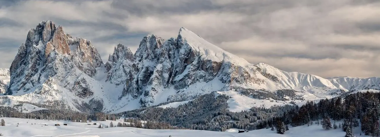 Alpe di Siusi Private Transfer