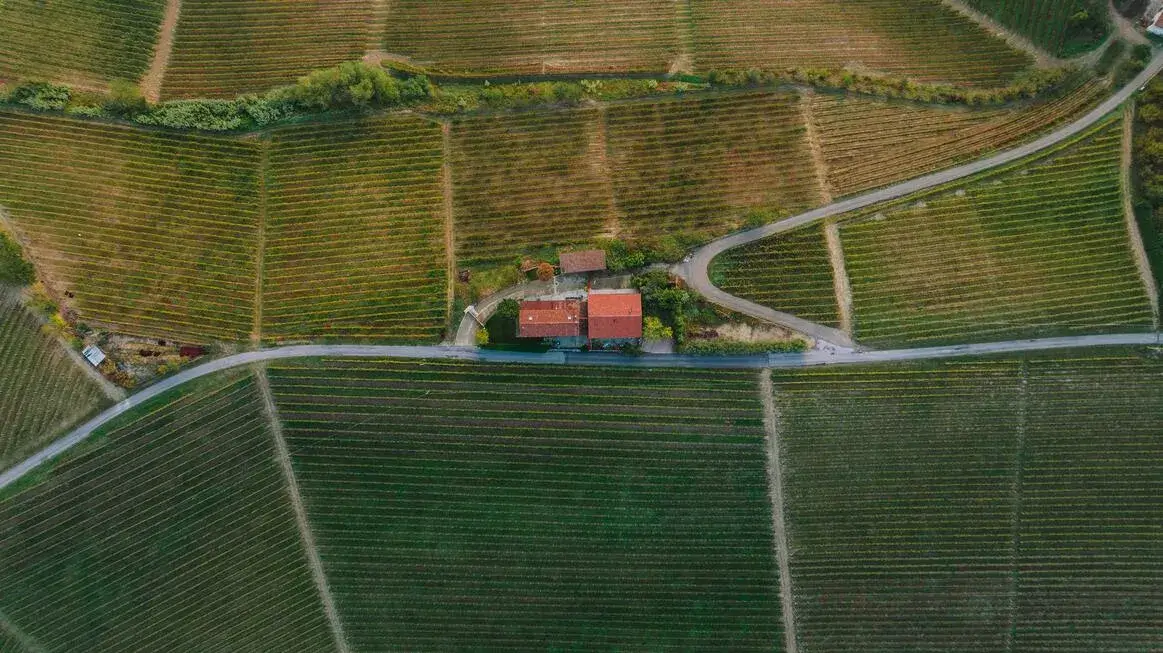 Barbaresco Piedmont day trip with private chauffeur
