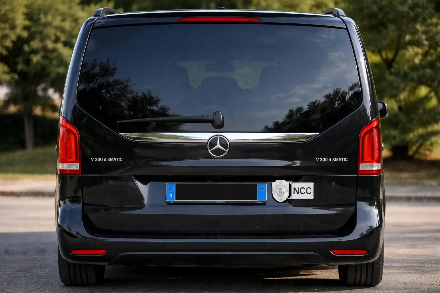 Transportation company in Italy and Europe