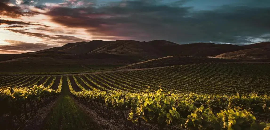 Italy - Valpolicella and Amarone Wine Tasting and Tour